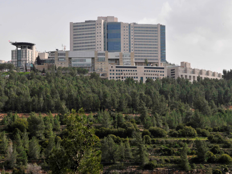 hadassah hospital tours